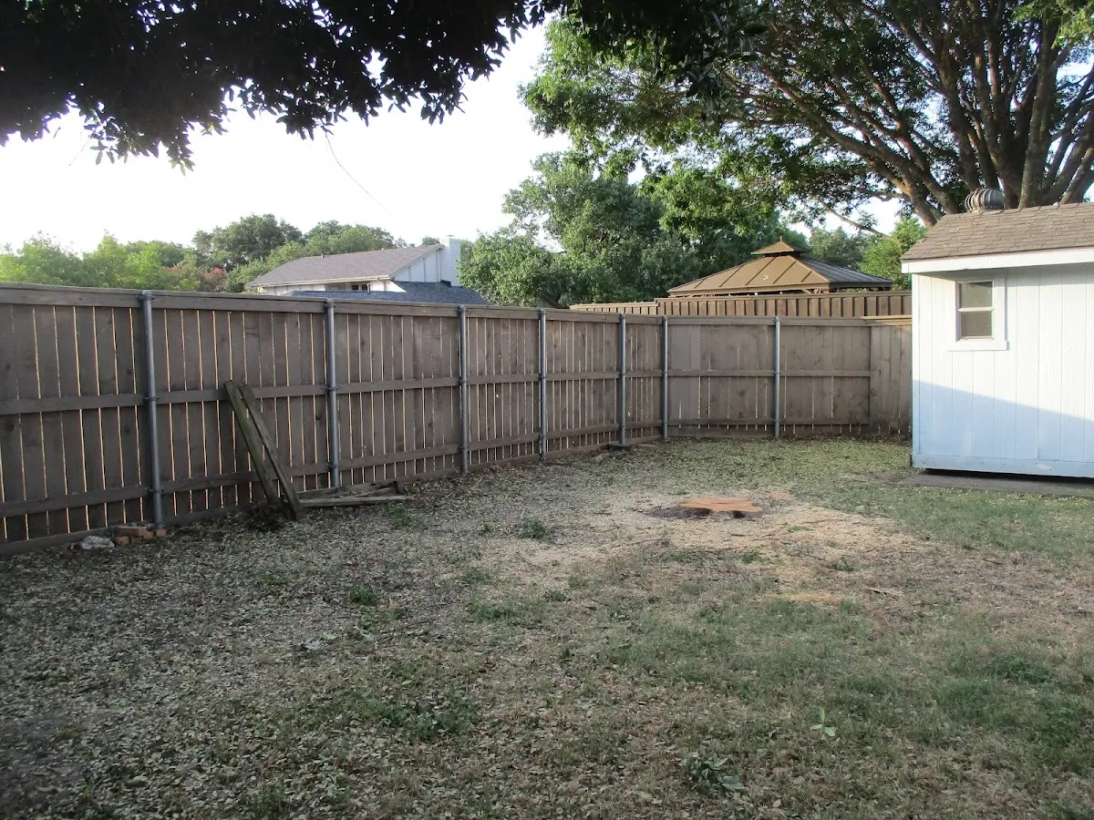 Cleared yard after professional tree removal in Tillatoba